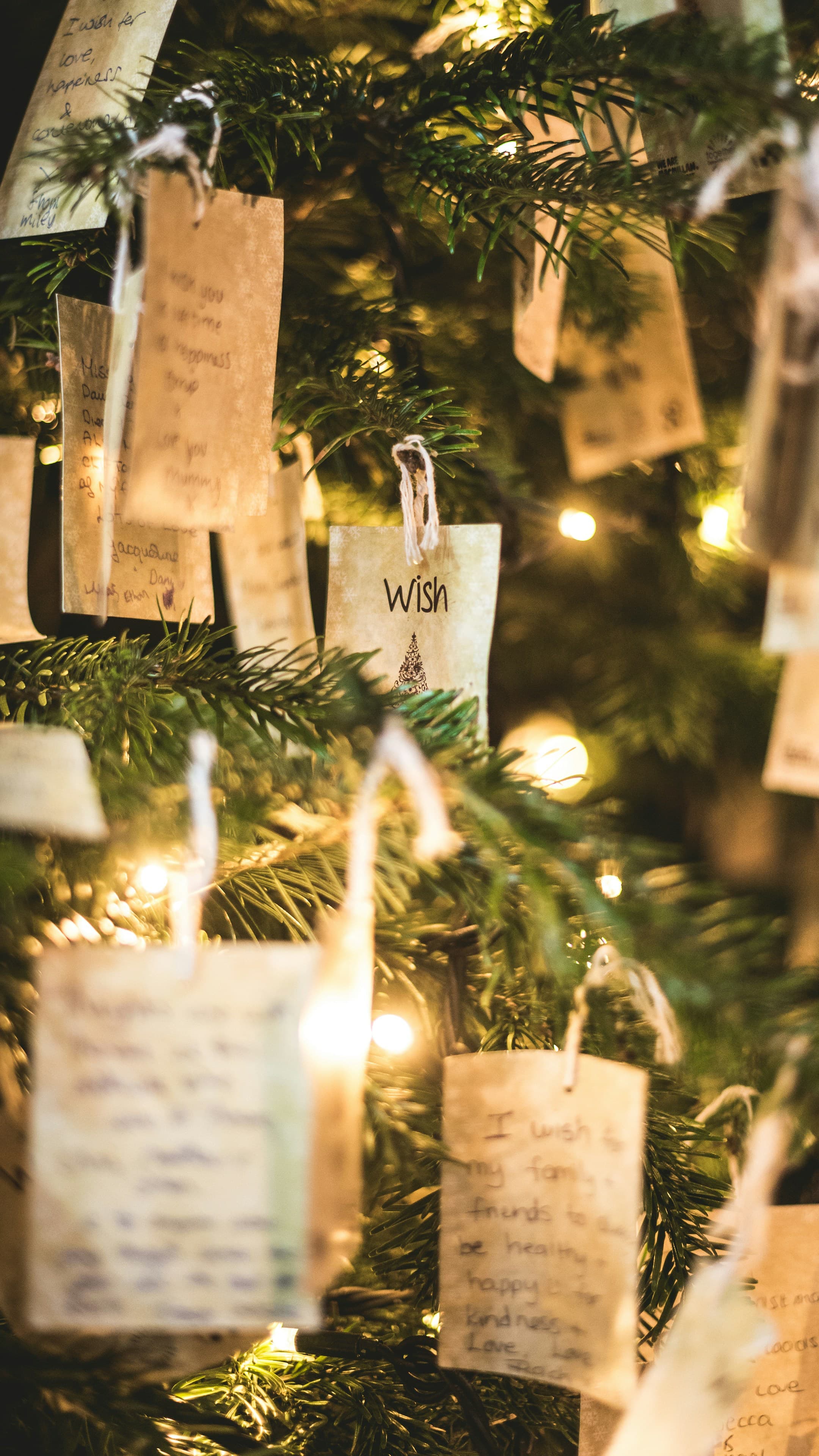 Wunschzettel erstellen - Geschenke und Wünsche digital organisieren